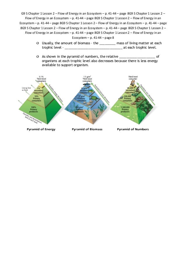 G9 ch2.2 energy in an ecosystem