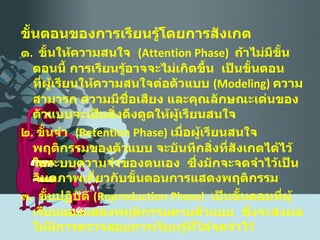 ขั้นตอนของการเรียนรู้โดยการสังเกต ๑ .  ขั้นให้ความสนใจ  ( Attention Phase )  ถ้าไม่มีขั้นตอนนี้ การเรียนรู้อาจจะไม่เกิดขึ้น  เป็นขั้นตอน  ที่ผู้เรียนให้ความสนใจต่อตัวแบบ  ( Modeling )  ความสามารถ ความมีชื่อเสียง และคุณลักษณะเด่นของตัวแบบจะเป็นสิ่งดึงดูดให้ผู้เรียนสนใจ ๒ .  ขั้นจำ  ( Retention Phase )  เมื่อผู้เรียนสนใจพฤติกรรมของตัวแบบ จะบันทึกสิ่งที่สังเกตได้ไว้ในระบบความจำของตนเอง  ซึ่งมักจะจดจำไว้เป็นจินตภาพเกี่ยวกับขั้นตอนการแสดงพฤติกรรม ๓ .  ขั้นปฏิบัติ  ( Reproduction Phase )  เป็นขั้นตอนที่ผู้เรียนลองแสดงพฤติกรรมตามตัวแบบ  ซึ่งจะส่งผลให้มีการตรวจสอบการเรียนรู้ที่ได้จดจำไว้ 