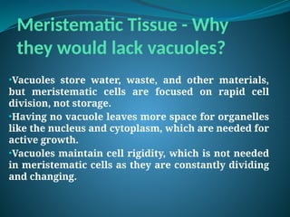 Meristematic Tissue - Why
they would lack vacuoles?
•Vacuoles store water, waste, and other materials,
but meristematic cells are focused on rapid cell
division, not storage.
•Having no vacuole leaves more space for organelles
like the nucleus and cytoplasm, which are needed for
active growth.
•Vacuoles maintain cell rigidity, which is not needed
in meristematic cells as they are constantly dividing
and changing.
 