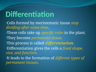 Differentiation
•Cells formed by meristematic tissue stop
dividing after some time.
•These cells take up specific roles in the plant.
•They become permanent tissue.
•This process is called differentiation.
•Differentiation gives the cells a fixed shape,
size, and function.
•It leads to the formation of different types of
permanent tissues.
 