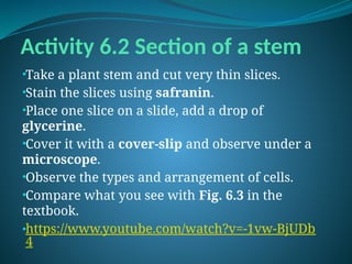 Activity 6.2 Section of a stem
•Take a plant stem and cut very thin slices.
•Stain the slices using safranin.
•Place one slice on a slide, add a drop of
glycerine.
•Cover it with a cover-slip and observe under a
microscope.
•Observe the types and arrangement of cells.
•Compare what you see with Fig. 6.3 in the
textbook.
•https://www.youtube.com/watch?v=-1vw-BjUDb
4
 