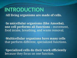 INTRODUCTION
•All living organisms are made of cells.
•In unicellular organisms (like Amoeba),
one cell performs all functions – movement,
food intake, breathing, and waste removal.
•Multicellular organisms have many cells
that perform different, specialized functions.
•Specialized cells do their work efficiently
because they focus on one function.
 