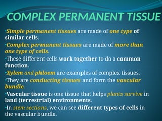 COMPLEX PERMANENT TISSUE
•Simple permanent tissues are made of one type of
similar cells.
•Complex permanent tissues are made of more than
one type of cells.
•These different cells work together to do a common
function.
•Xylem and phloem are examples of complex tissues.
•They are conducting tissues and form the vascular
bundle.
•Vascular tissue is one tissue that helps plants survive in
land (terrestrial) environments.
•In stem sections, we can see different types of cells in
the vascular bundle.
 