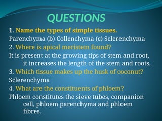 QUESTIONS
1. Name the types of simple tissues.
Parenchyma (b) Collenchyma (c) Sclerenchyma
2. Where is apical meristem found?
It is present at the growing tips of stem and root,
it increases the length of the stem and roots.
3. Which tissue makes up the husk of coconut?
Sclerenchyma
4. What are the constituents of phloem?
Phloem constitutes the sieve tubes, companion
cell, phloem parenchyma and phloem
fibres.
 