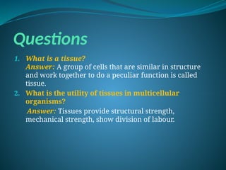 Questions
1. What is a tissue?
Answer: A group of cells that are similar in structure
and work together to do a peculiar function is called
tissue.
2. What is the utility of tissues in multicellular
organisms?
Answer: Tissues provide structural strength,
mechanical strength, show division of labour.
 