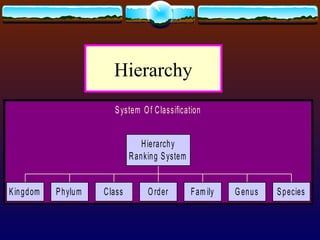[G9 Science - Q1] Introduction to Biodiversity and Classification.pptx