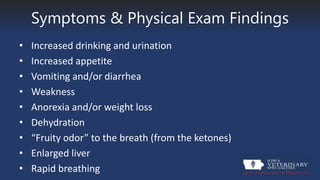 Symptoms & Physical Exam Findings
• Increased drinking and urination
• Increased appetite
• Vomiting and/or diarrhea
• Weakness
• Anorexia and/or weight loss
• Dehydration
• “Fruity odor” to the breath (from the ketones)
• Enlarged liver
• Rapid breathing
 