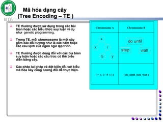 Mã hóa dạng cây  (Tree Encoding – TE ) TE thường được sử dụng trong các bài tóan hoặc các biểu thức suy luận ví dụ như  genetic programming .  Trong TE, mỗi chromosome là một cây gồm các đối tượng như là các hàm hoặc các câu lệnh của ngôn ngữ lập trình.  TE thường được dùng đối với các bìa tóan suy luận hoặc các cấu trúc có thể biểu diễn bằng cây.   Các phép lai ghép và đột biến đối với kiểu mã hóa này cũng tương đối dễ thực hiện.  Chromosome A Chromosome B ( + x ( / 5 y ) ) ( do_until step wall ) 