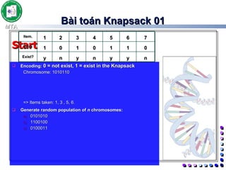 Bài toán Knapsack 01 Encoding:  0 = not exist, 1 = exist in the Knapsack Chromosome: 1010110 => Items taken: 1, 3 , 5, 6. Generate random population of  n  chromosomes: 0101010 1100100 0100011 Start 7 6 5 4 3 2 1 Item. 0 1 1 0 1 0 1 Chro n y y n y n y Exist? 