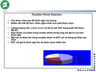 Roulette Wheel Selection  Cha được chọn qua độ thích nghi của chúng Nhiễm sắc thể tốt hơn, nhiều ngẫu nhiên hơn phải được chọn Tưởng tượng một  roulette wheel  nơi tất cả các NST trong quần thể được đặt lên Kích thước của đoạn trong roulete wheel tương ứng với giá trị của hàm thích nghi Một hòn bi được lăn trong roulette wheel và NST nơi nó dừng lại được lựa chọn NST với giá trị thích nghi lớn sẽ được chọn nhiều hơn  