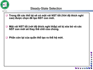 Steady-State Selection  Trong tất các thế hệ sẽ có một vài NST tốt (Với độ thích nghi cao) được chọn để tạo NST con mới.  Một vài NST tồi (với độ thích nghi thấp) sẽ bị xóa bỏ và các NST con mới sẽ thay thế chỗ của chúng.  Phần còn lại của quần thể tạo ra thế hệ mới.  