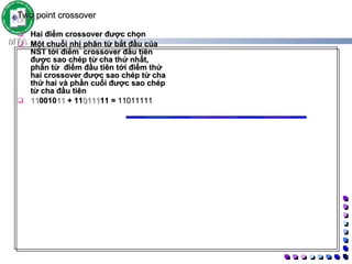 Two point crossover   Hai điểm crossover được chọn Một chuỗi nhị phân từ bắt đầu của NST tới điểm  crossover đầu tiên được sao chép từ cha thứ nhất, phần từ  điểm đầu tiên tới điểm thứ hai crossover được sao chép từ cha thứ hai và phần cuối được sao chép từ cha đầu tiên 11 0010 11  + 11 0111 11 =  11011111   