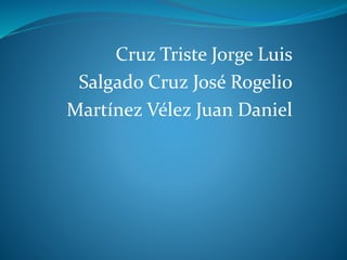 Cruz Triste Jorge Luis 
Salgado Cruz José Rogelio 
Martínez Vélez Juan Daniel 
 