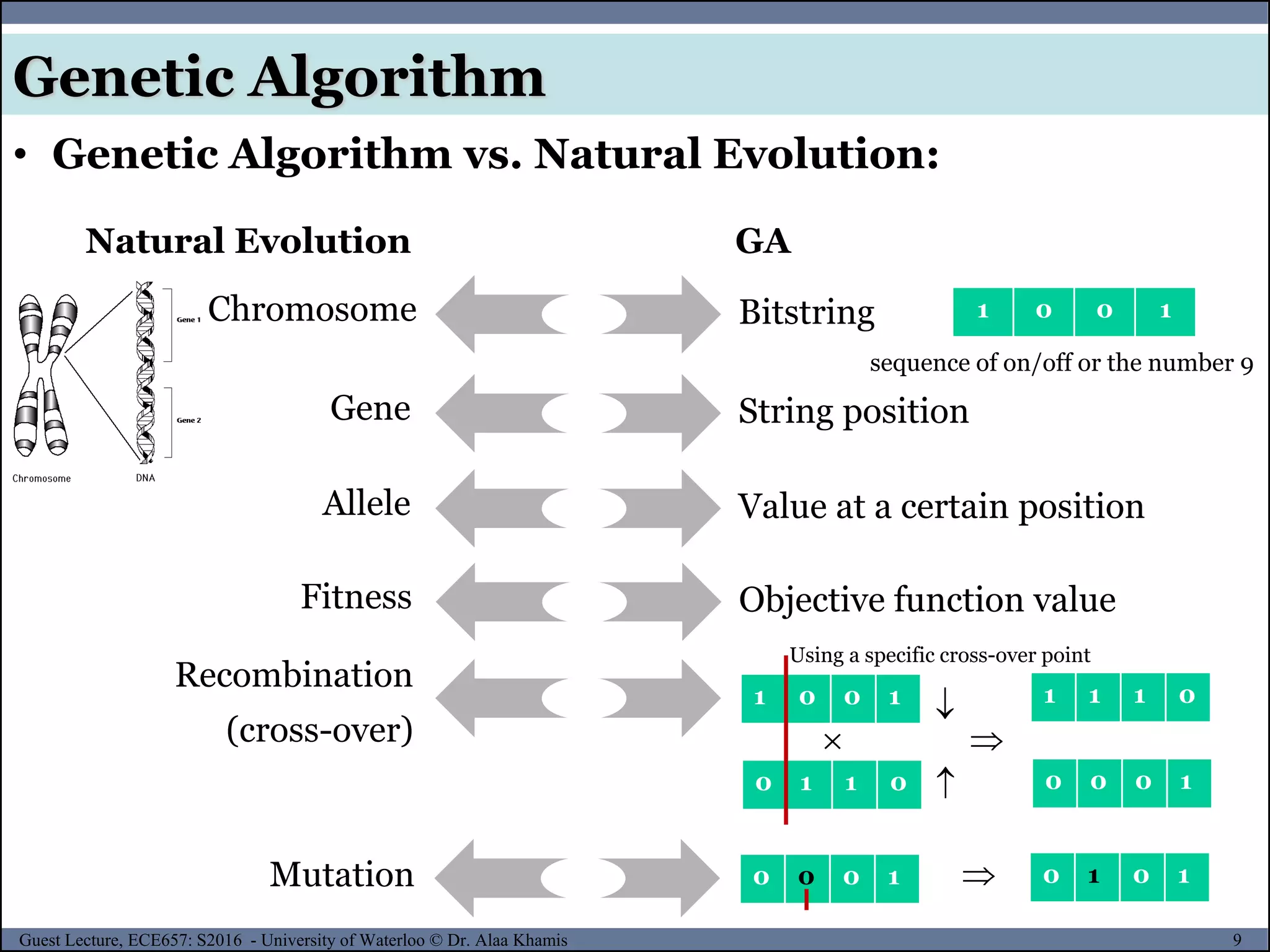 9Guest Lecture, ECE657: S2016 - University of Waterloo © Dr. Alaa Khamis
Genetic Algorithm
• Genetic Algorithm vs. Natural Evolution:
Chromosome Bitstring
Natural Evolution GA
1 0 0 1
sequence of on/off or the number 9
Gene String position
Allele Value at a certain position
Fitness Objective function value
Recombination
(cross-over)
1 0 0 1
0 1 1 0
 


1 1 1 0
0 0 0 1
Mutation 0 0 0 1 0 1 0 1
Using a specific cross-over point
 