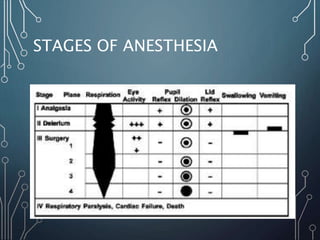 STAGES OF ANESTHESIA
 