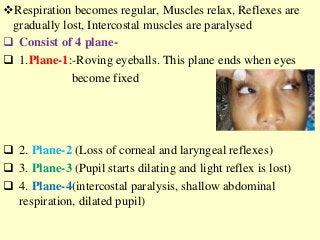 Respiration becomes regular, Muscles relax, Reflexes are
gradually lost, Intercostal muscles are paralysed
 Consist of 4 plane-
 1.Plane-1:-Roving eyeballs. This plane ends when eyes
become fixed
 2. Plane-2 (Loss of corneal and laryngeal reflexes)
 3. Plane-3 (Pupil starts dilating and light reflex is lost)
 4. Plane-4(intercostal paralysis, shallow abdominal
respiration, dilated pupil)
 
