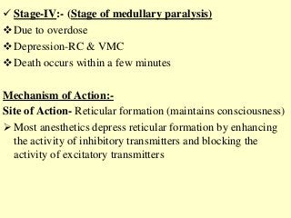  Stage-IV:- (Stage of medullary paralysis)
Due to overdose
Depression-RC & VMC
Death occurs within a few minutes
Mechanism of Action:-
Site of Action- Reticular formation (maintains consciousness)
 Most anesthetics depress reticular formation by enhancing
the activity of inhibitory transmitters and blocking the
activity of excitatory transmitters
 