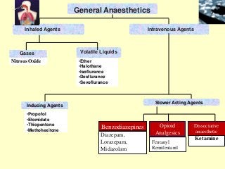Volatile Liquids
•Ether
•Halothane
•Isoflurance
•Desflurance
•Sevoflurance
Inhaled Agents Intravenous Agents
General Anaesthetics
Gases
Nitrous Oxide
Slower Acting Agents
Inducing Agents
•Propofol
•Etomidate
•Thiopentone
•Methohexitone
Benzodiazepines Opioid
Analgesics
Dissociative
anaesthetic
Diazepam,
Lorazepam,
Midazolam
Fentanyl
Remifentanil
Ketamine
 