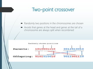 Two-point crossover
 Randomly two positions in the chromosomes are chosen
 Avoids that genes at the head and genes at the tail of a
chromosome are always split when recombined
 