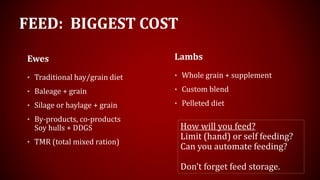 FEED: BIGGEST COST
Ewes
• Traditional hay/grain diet
• Baleage + grain
• Silage or haylage + grain
• By-products, co-products
Soy hulls + DDGS
• TMR (total mixed ration)
Lambs
• Whole grain + supplement
• Custom blend
• Pelleted diet
How will you feed?
Limit (hand) or self feeding?
Can you automate feeding?
Don’t forget feed storage.
 