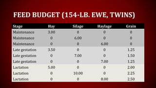 FEED BUDGET (154-LB. EWE, TWINS)
Stage Hay Silage Haylage Grain
Maintenance 3.00 0 0 0
Maintenance 0 6.00 0 0
Maintenance 0 0 6.00 0
Late gestation 3.50 0 0 1.25
Late gestation 0 7.00 0 1.50
Late gestation 0 0 7.00 1.25
Lactation 5.00 0 0 2.00
Lactation 0 10.00 0 2.25
Lactation 0 0 8.00 2.50
 