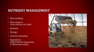 NUTRIENT MANAGEMENT
• More bedding
• More manure
4 lbs/100 lbs. live daily
• Removal
• Storage
• Land for spreading
• Regulations
AFO/CAFO for large farms
(>300 animal units)
 