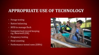 APPROPRIATE USE OF TECHNOLOGY
• Forage testing
• Ration balancing
• RFID to manage flock
• Computerized record keeping
e.g. Shearwell (UK).
• Pregnancy testing
• Fetal counting
• Performance tested rams (EBVs)
 
