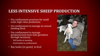 LESS INTENSIVE SHEEP PRODUCTION
• Use confinement practices for small
scale, high value production
• Use confinement to manage an annual
lambing flock.
• Use confinement to manage
periparturient ewes (late gestation
through lactation).
– Sell lambs at weaning
– Feed lambs in confinement
• Buy lambs (or goats) to feed
 