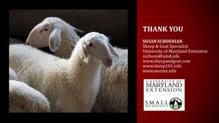 THANK YOU
SUSAN SCHOENIAN
Sheep & Goat Specialist
University of Maryland Extension
sschoen@umd.edu
www.sheepandgoat.com
www.sheep101.info
www.wormx.info
 