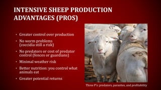 INTENSIVE SHEEP PRODUCTION
ADVANTAGES (PROS)
• Greater control over production
• No worm problems
(coccidia still a risk)
• No predators or cost of predator
control (fences or guardians)
• Minimal weather risk
• Better nutrition: you control what
animals eat
• Greater potential returns
Three P’s: predators, parasites, and profitability
 