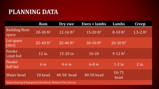 PLANNING DATA
Ram Dry ewe Ewes + lambs Lambs Creep
Building floor
space
20-30 ft2 12-16 ft2 15-20 ft2 8-10 ft2 1.5-2 ft2
Lot space
(dirt)
25-40 ft2 25-40 ft2 30-50 ft2 20-30 ft2
Feeder
Limit fed
12 in. 15-20 in 16-20 9-12 ft2
Feeder
Self fed
6 in 4-6 in 6-8 in 1-2 in 2 in.
Water bowl 10 head 40-50 head 40-50 head
50-75
head
Sheep Housing & Equipment Handbook, Midwest Plan Service
 