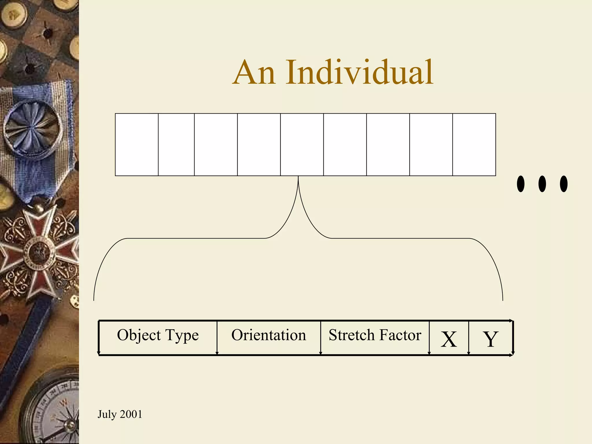 An Individual Y X Stretch Factor Orientation Object Type 