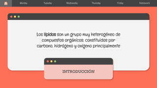 Los lípidos son un grupo muy heterogéneo de
compuestos orgánicos, constituidos por
carbono, hidrógeno y oxígeno principalmente
INTRODUCCIÓN
Monday Tuesday Wednesday Thursday Friday Homework
 
