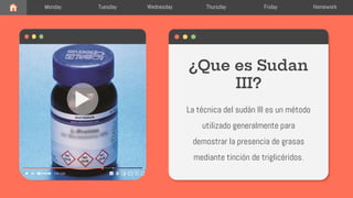 La técnica del sudán III es un método
utilizado generalmente para
demostrar la presencia de grasas
mediante tinción de triglicéridos.
¿Que es Sudan
III?
Monday Tuesday Wednesday Thursday Friday Homework
 
