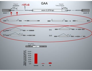 exon 1 
5’ss(c1) GAA 3’ss(c2) 
-13TG Tcttccccaag/ga 
exon 2 (578 bp) 
exon 3 
gcg/gtaaca 
35 bp 
cgggtgaga 
tcttctcccgcaggc…. 
60 bp 
….acggtgggc catctcttctagat 
g 
Relative norrmal spliced 
mRNA expression(% of C) 
RT-qPCR 
1 2 3 
120,00 
100,00 
80,00 
60,00 
40,00 
20,00 
0,00 
Control P1 P2 
SV2 
SV3 
c2 
SV1 
SV3’ 
c2 
 