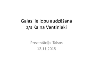 Gaļas liellopu audzēšana
z/s Kalna Ventinieki
Prezentācija Talsos
12.11.2015
 