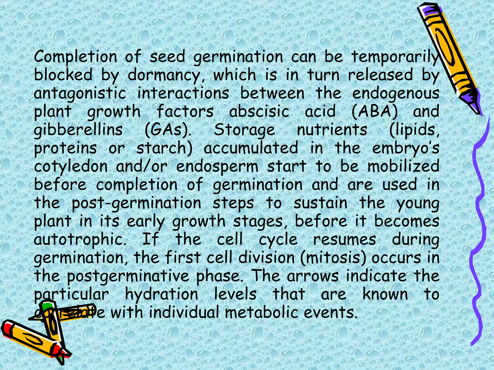 Completion of seed germination can be temporarily blocked by dormancy, which is in turn released by antagonistic interactions between the endogenous plant growth factors abscisic acid (ABA) and gibberellins (GAs). Storage nutrients (lipids, proteins or starch) accumulated in the embryo’s cotyledon and/or endosperm start to be mobilized before completion of germination and are used in the post-germination steps to sustain the young plant in its early growth stages, before it becomes autotrophic. If the cell cycle resumes during germination, the first cell division (mitosis) occurs in the postgerminative phase. The arrows indicate the particular hydration levels that are known to correlate with individual metabolic events.  