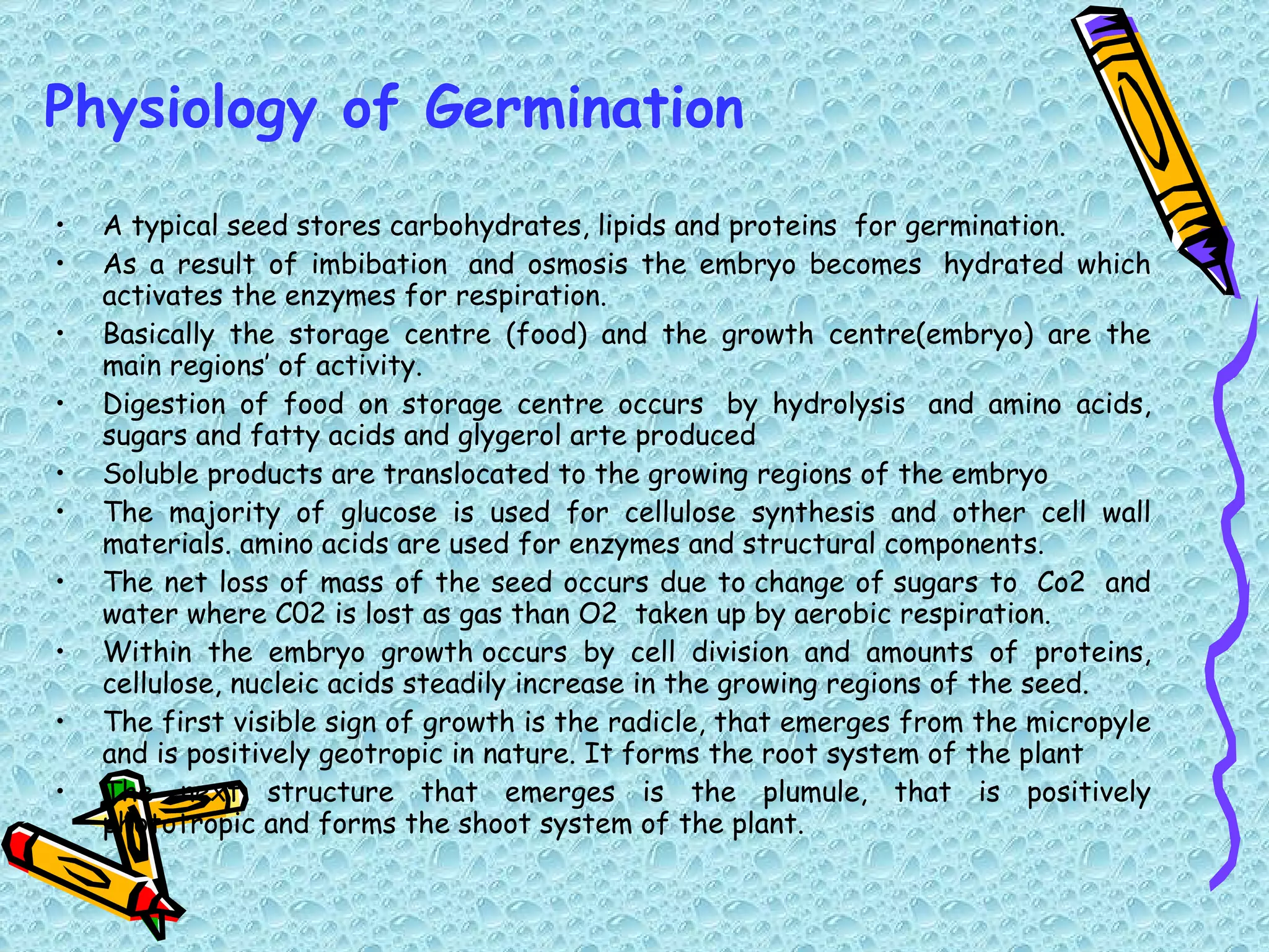 A typical seed stores carbohydrates, lipids and proteins  for germination. As a result of imbibation  and osmosis the embryo becomes  hydrated which activates the enzymes for respiration. Basically the storage centre (food) and the growth centre(embryo) are the main regions’ of activity. Digestion of food on storage centre occurs  by hydrolysis  and amino acids, sugars and fatty acids and glygerol arte produced Soluble products are translocated to the growing regions of the embryo The majority of glucose is used for cellulose synthesis and other cell wall materials. amino acids are used for enzymes and structural components.  The net loss of mass of the seed occurs due to change of sugars to  Co2  and water where C02 is lost as gas than O2  taken up by aerobic respiration. Within the embryo growth occurs by cell division and amounts of proteins, cellulose, nucleic acids steadily increase in the growing regions of the seed. The first visible sign of growth is the radicle, that emerges from the micropyle and is positively geotropic in nature. It forms the root system of the plant  The next structure that emerges is the plumule, that is positively phototropic and forms the shoot system of the plant.                              Physiology of Germination 