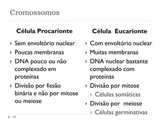 Cromossomos
Célula Procarionte Célula Eucarionte
 Sem envoltório nuclear
 Poucas membranas
 DNA pouco ou não
complexado em
proteínas
 Divisão por fissão
binária e não por mitose
ou meiose
 Com envoltório nuclear
 Muitas membranas
 DNA nuclear bastante
complexado com
proteínas
 Divisão por mitose
 Células somáticas
 Divisão por meiose
 Células germinativas
13
 