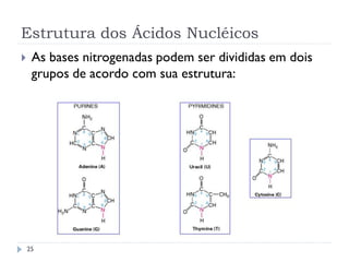Estrutura dos Ácidos Nucléicos
 As bases nitrogenadas podem ser divididas em dois
grupos de acordo com sua estrutura:
25
 