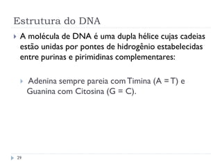 Estrutura do DNA
 A molécula de DNA é uma dupla hélice cujas cadeias
estão unidas por pontes de hidrogênio estabelecidas
entre purinas e pirimidinas complementares:
 Adenina sempre pareia comTimina (A = T) e
Guanina com Citosina (G = C).
29
 