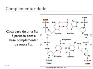 Complementaridade
Cada base de uma fita
é pareada com a
base complementar
da outra fita.
37
 