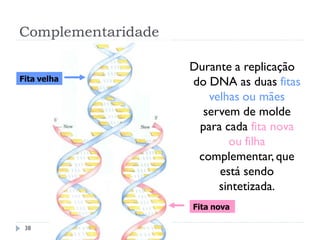 Complementaridade
Durante a replicação
do DNA as duas fitas
velhas ou mães
servem de molde
para cada fita nova
ou filha
complementar,que
está sendo
sintetizada.
Fita nova
Fita velha
38
 