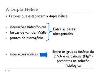 A Dupla Hélice
 Fatores que estabilizam a dupla hélice:
• interações hidrofóbicas
• forças de van der Walls
• pontes de hidrogênio
• interações iônicas
Entre as bases
nitrogenadas
Entre os grupos fosfato do
DNA e os cátions (Mg2+)
presentes na solução
fisiológica
39
 