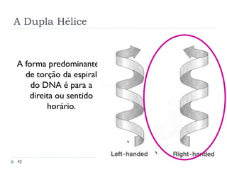 A Dupla Hélice
42
A forma predominante
de torção da espiral
do DNA é para a
direita ou sentido
horário.
 