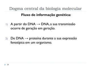 Dogma central da biologia molecular
54
Fluxo de informação genética:
1) A partir do DNA → DNA, a sua transmissão
ocorre de geração em geração.
2) De DNA → proteína durante a sua expressão
fenotípica em um organismo.
 