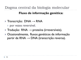 Dogma central da biologia molecular
55
Fluxo de informação genética:
 Transcrição: DNA → RNA
 por vezes reversível.
 Tradução: RNA → proteína (irreversíveis).
 Ocasionalmente, fluxos genéticos de informação
partir de RNA → DNA (transcrição reversa).
 