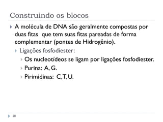 Construindo os blocos
 A molécula de DNA são geralmente compostas por
duas fitas que tem suas fitas pareadas de forma
complementar (pontes de Hidrogênio).
 Ligações fosfodiester:
 Os nucleotídeos se ligam por ligações fosfodiester.
 Purina: A, G.
 Pirimidinas: C,T, U.
58
 