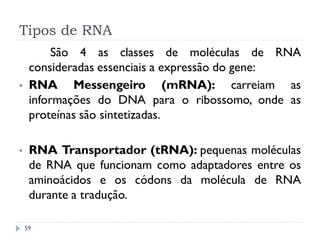 Tipos de RNA
59
São 4 as classes de moléculas de RNA
consideradas essenciais a expressão do gene:
• RNA Messengeiro (mRNA): carreiam as
informações do DNA para o ribossomo, onde as
proteínas são sintetizadas.
• RNA Transportador (tRNA): pequenas moléculas
de RNA que funcionam como adaptadores entre os
aminoácidos e os códons da molécula de RNA
durante a tradução.
 