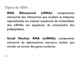 Tipos de RNA
60
• RNA Ribossomal (rRNA): componentes
estruturais dos ribossomos, que auxiliam as máquinas
especializadas em traduzir sequências de nucleotídeos
dos mRNAs em sequências de aminoácidos dos
polipeptídeos.
• Small Nuclear RNA (snRNA): componente
estrutural do spliceosomes, estrutura nuclear que
cortam os introns dos genes nucleares.
 